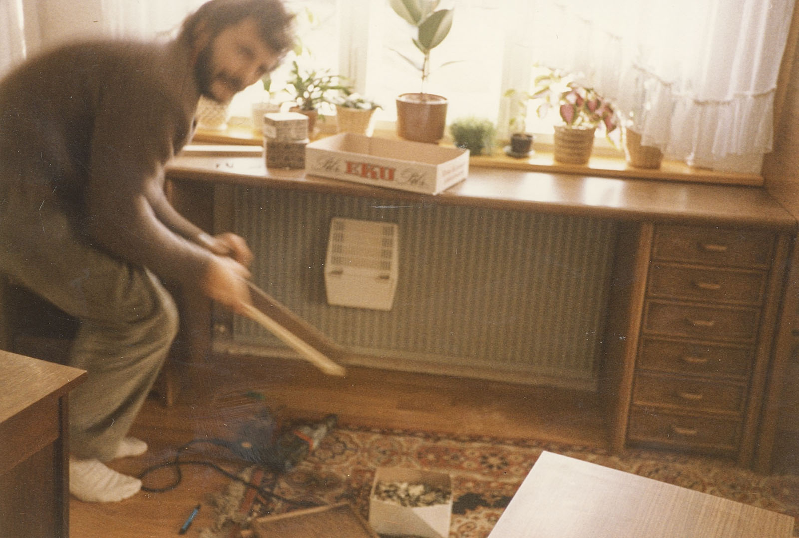 Sideboard vor dem Fenster für die Orchideen Sideboard vor dem Fenster für die Orchideen