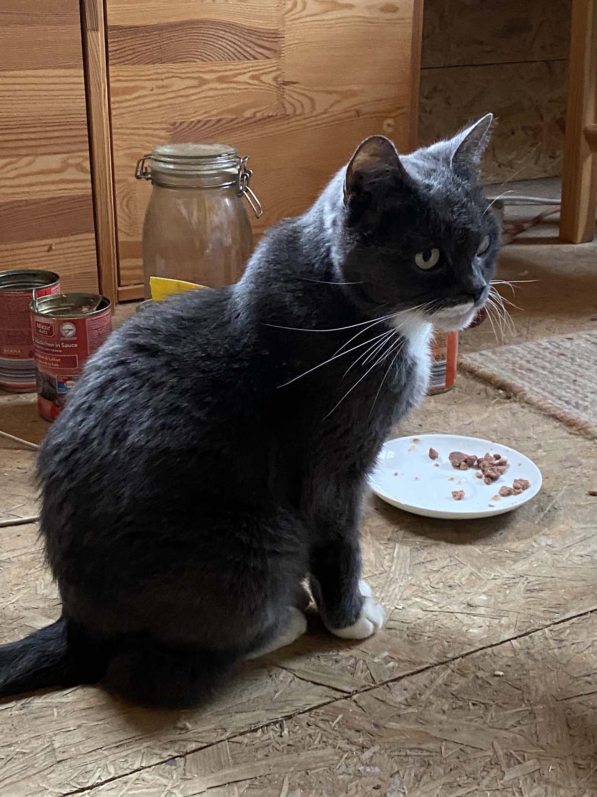 leider der letzte Tag der Cheffin, wir nehmen traurig Abschied leider der letzte Tag der Cheffin, wir nehmen traurig Abschied