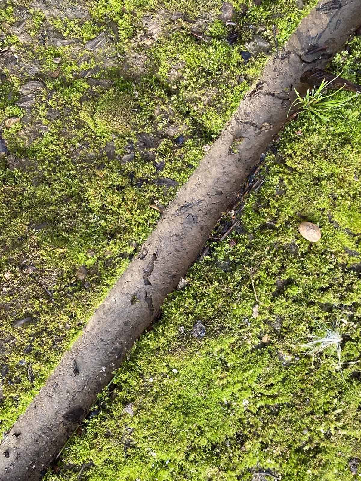 was ist das ? was ist das ?