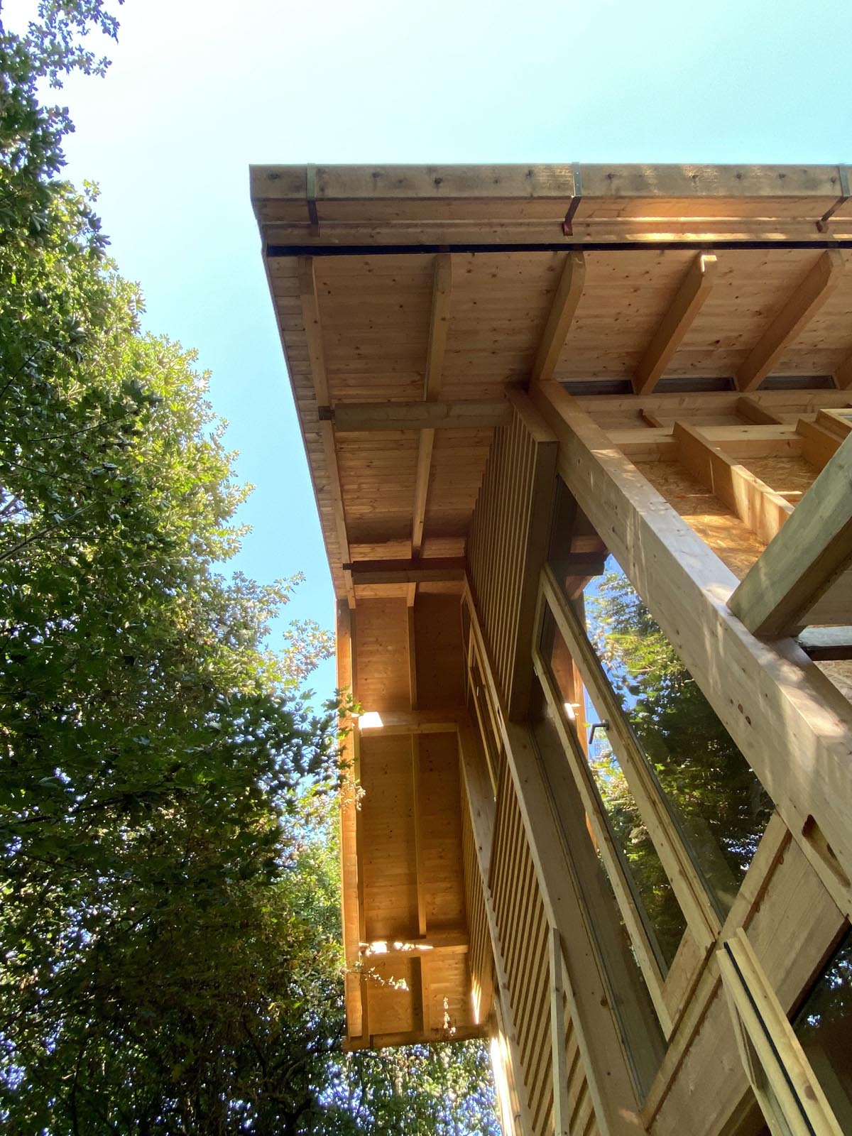 Holzskeletthaus - immer wieder schön, Lichtblicke an den Fassaden Holzskeletthaus - immer wieder schön, Lichtblicke an den Fassaden