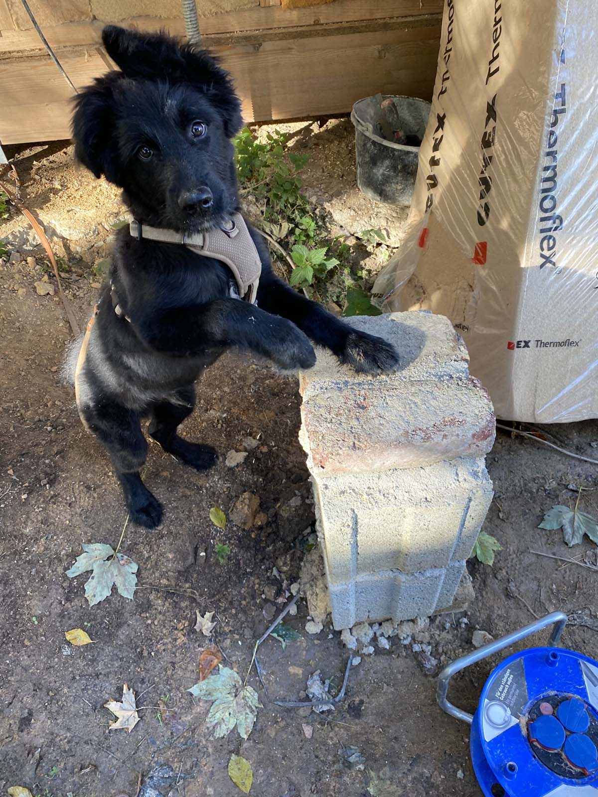 Beorn am Stützenfundament Beorn am Stützenfundament