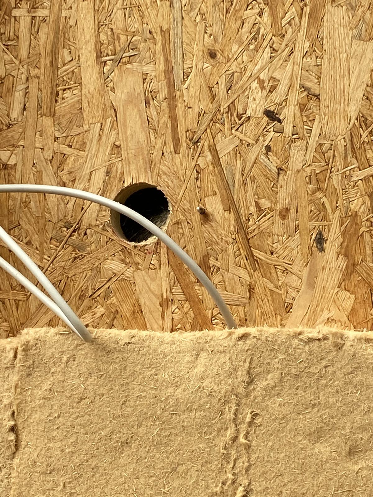 Lichtleitungen und Dosen für die Schalter Lichtleitungen und Dosen für die Schalter