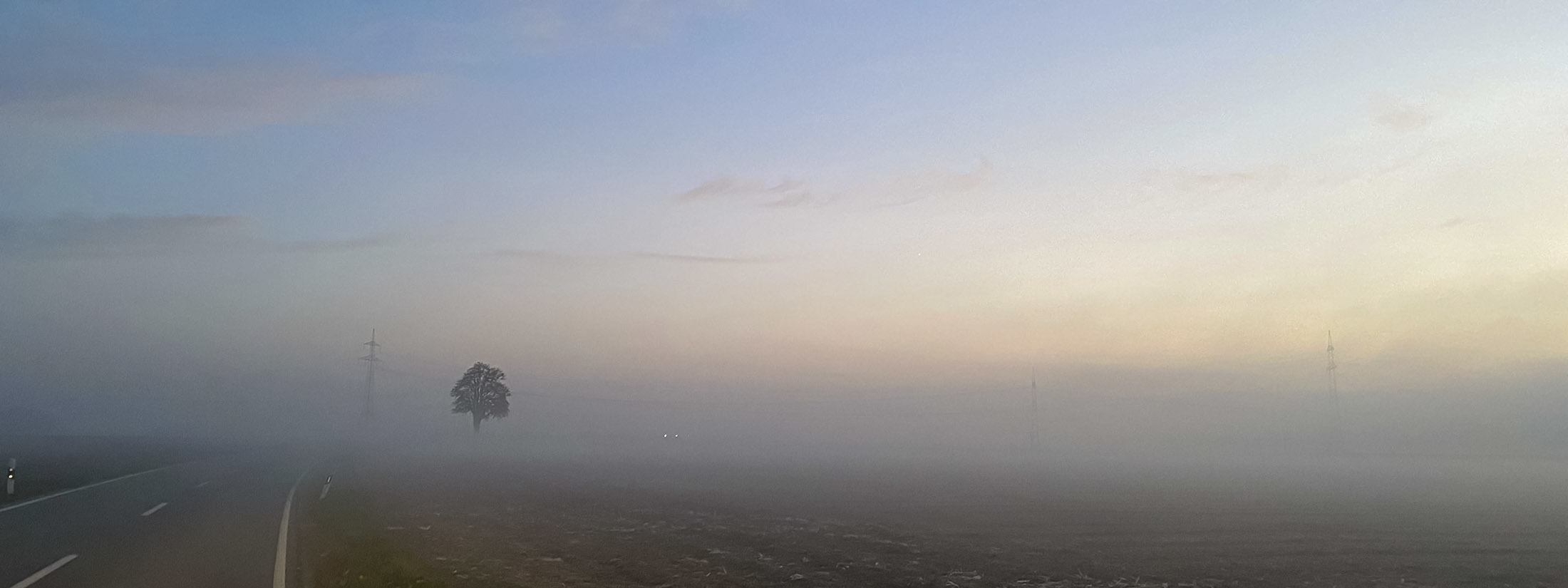 Niederbayern im Nebel - es riecht nach Zweibelernte Niederbayern im Nebel - es riecht nach Zweibelernte