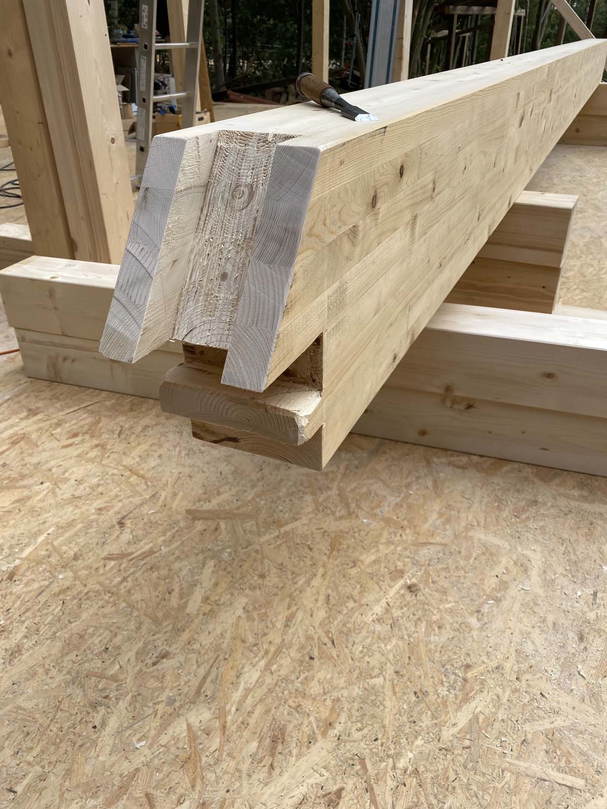 Holzskeletthaus Holzskeletthaus