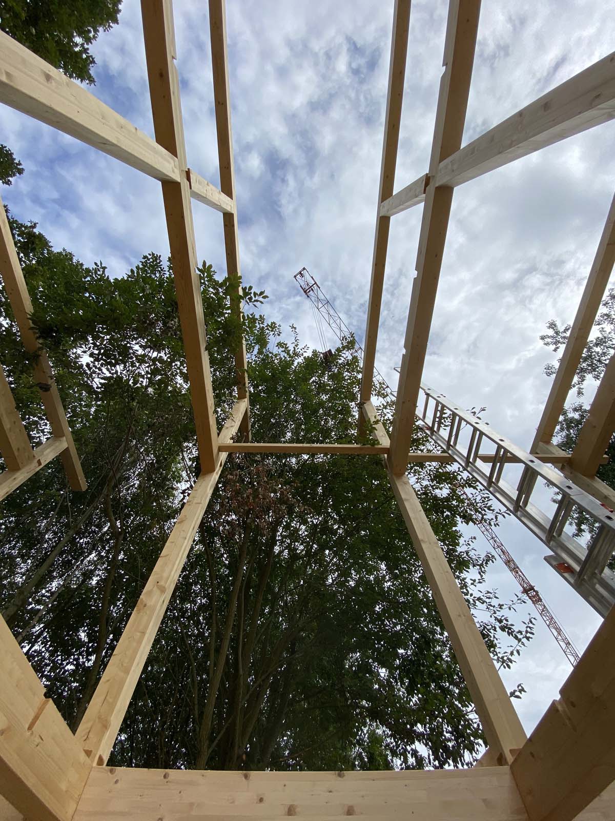 Holzskeletthaus - auf in lichte Höhen! Holzskeletthaus - auf in lichte Höhen!