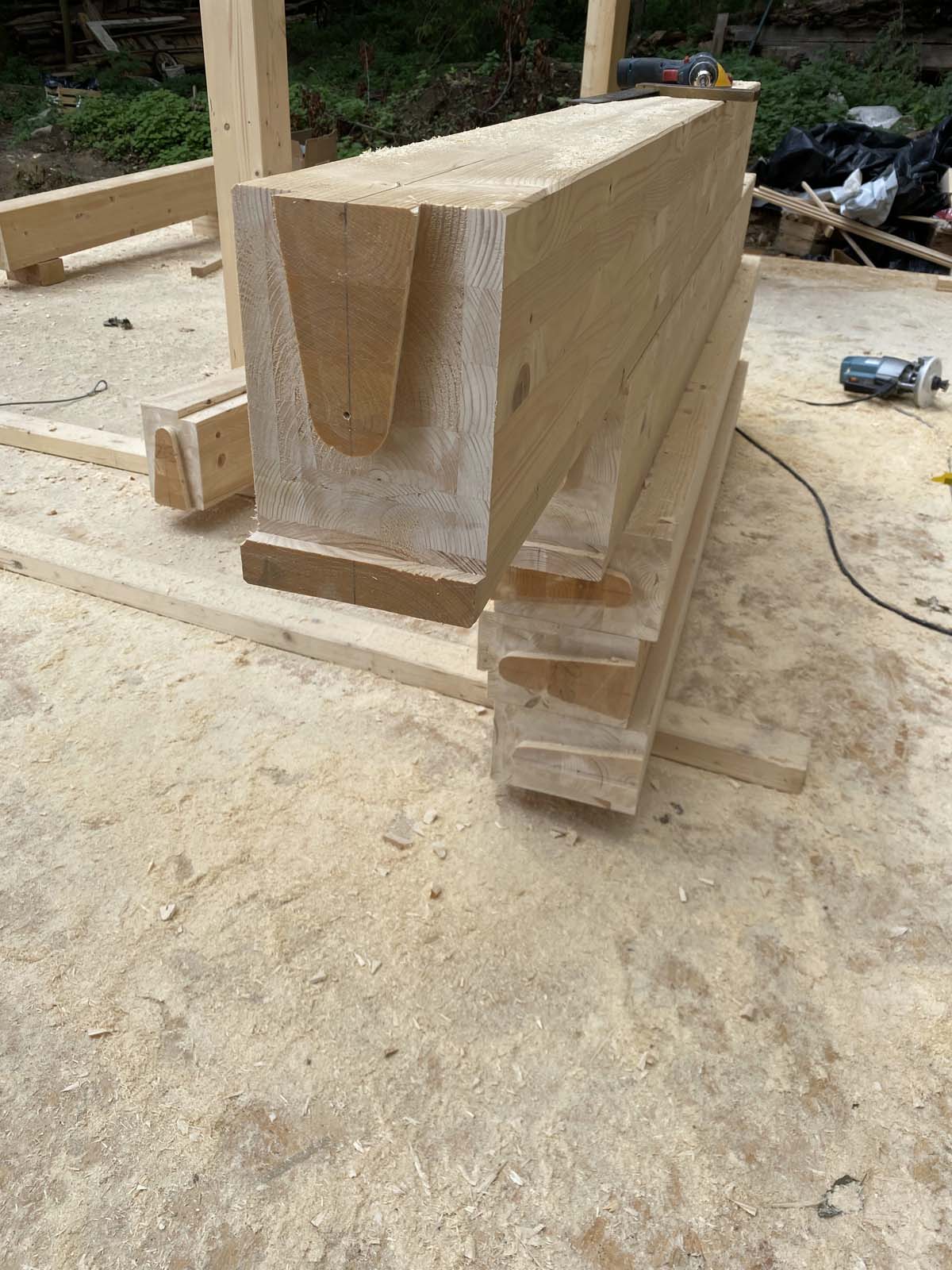 Schwalbenschwanz Schwalbenschwanz