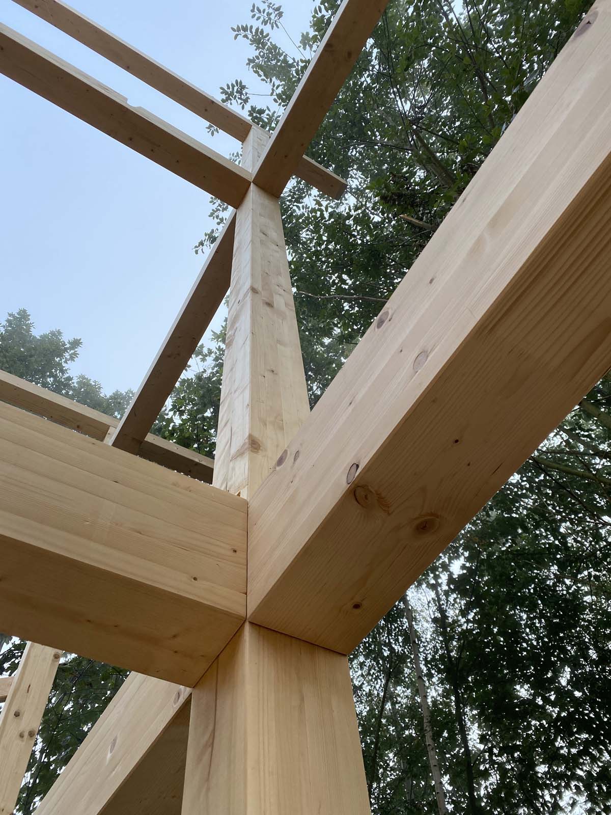 Holzskeletthaus - sechs Unterzüge laufen an eine Hauptstütze Holzskeletthaus - sechs Unterzüge laufen an eine Hauptstütze