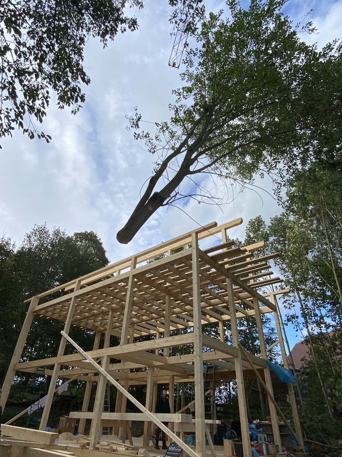 Baumtransport mit Baukran Baumtransport mit Baukran