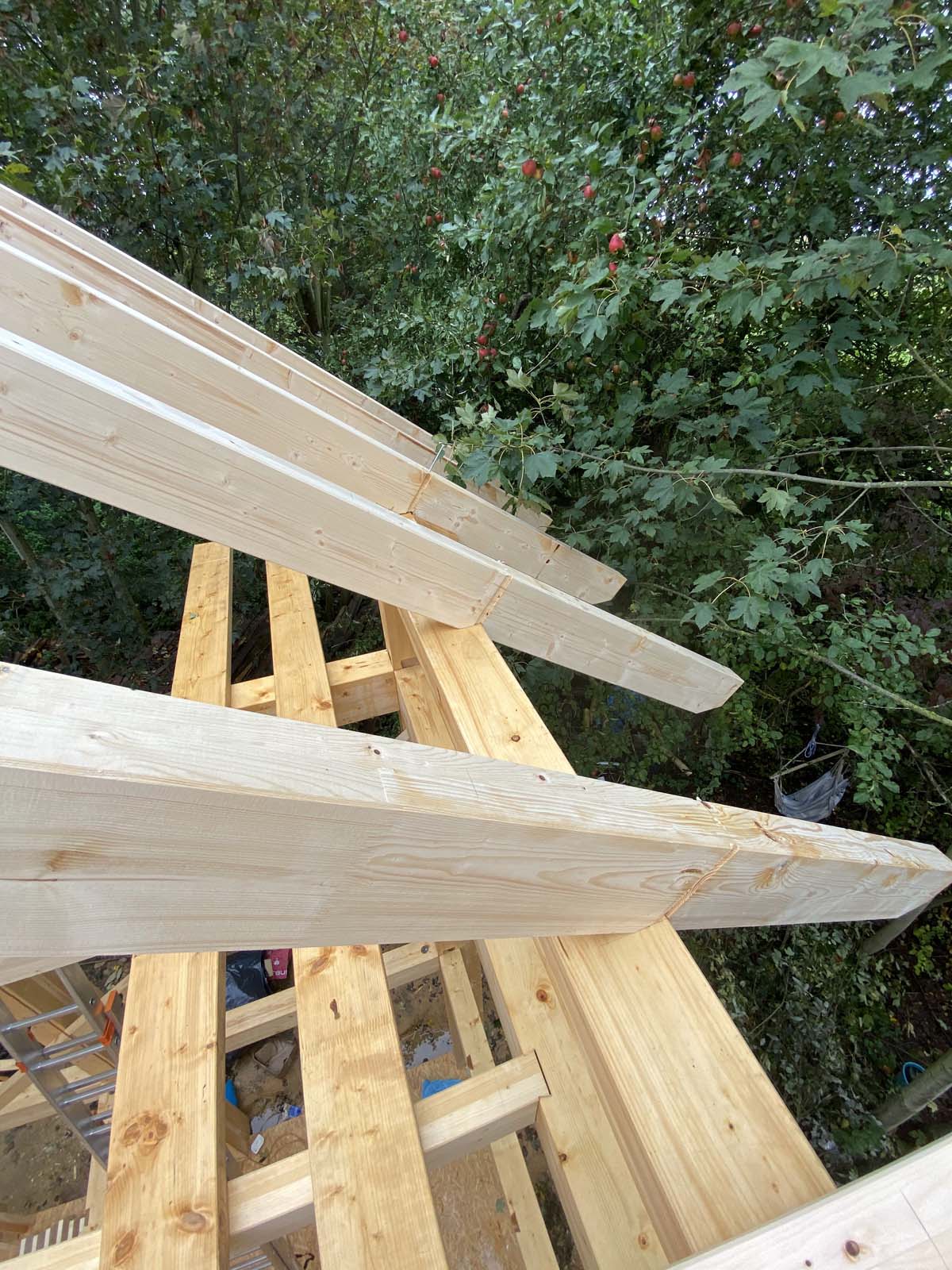 die ersten Sparren Holzskelettbau - Sparren