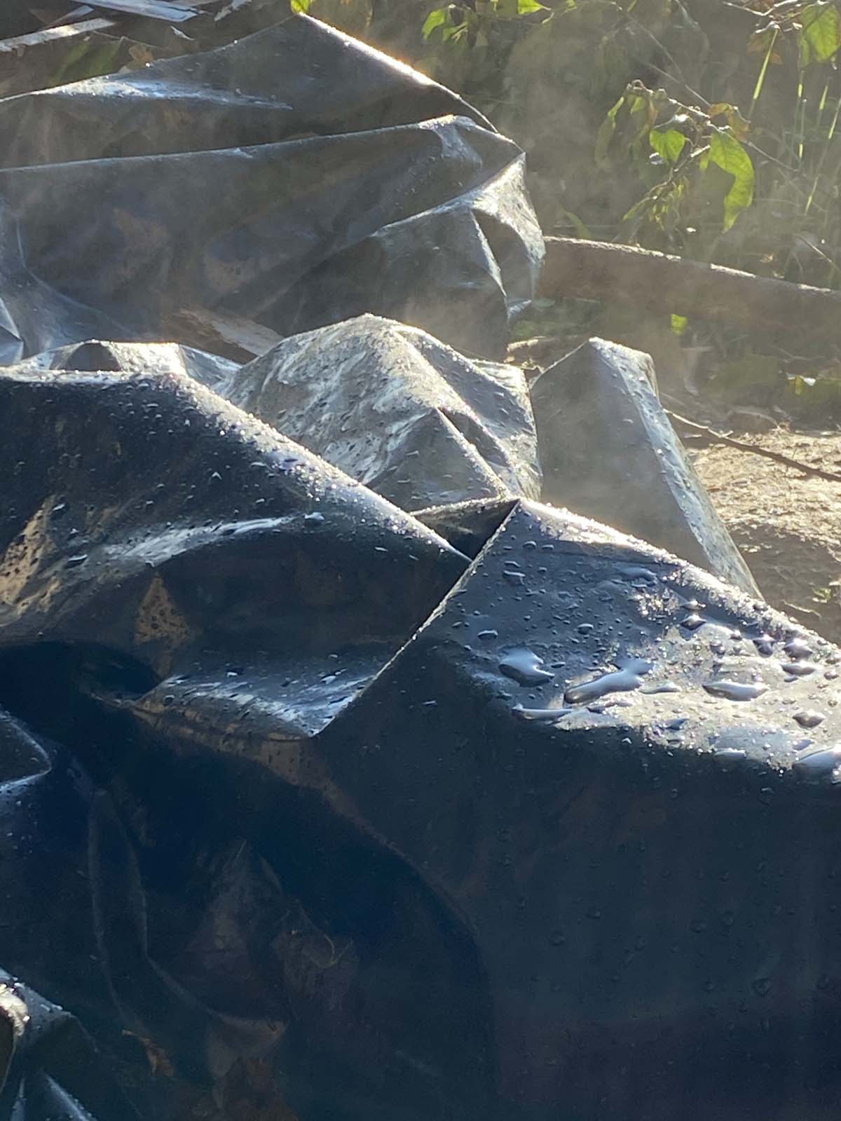 Holzskelettbauweise Holzskelettbau