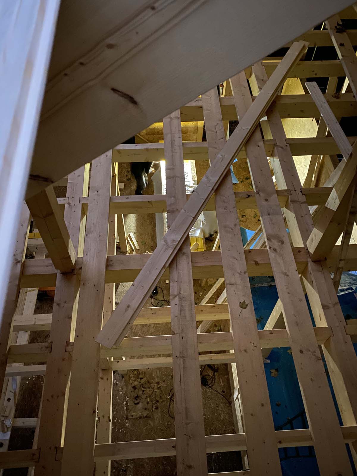 Holzskelettbau - Dachschalung Süd Holzskelettbau - Dachschalung Süd