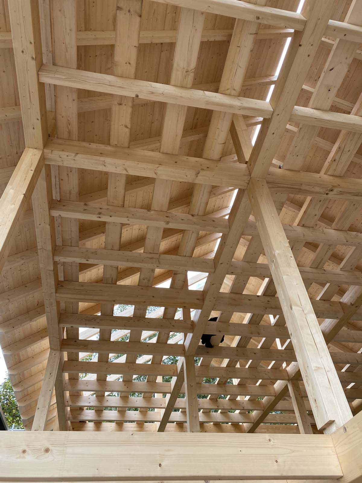 Blick ins Dach Blick ins Dach