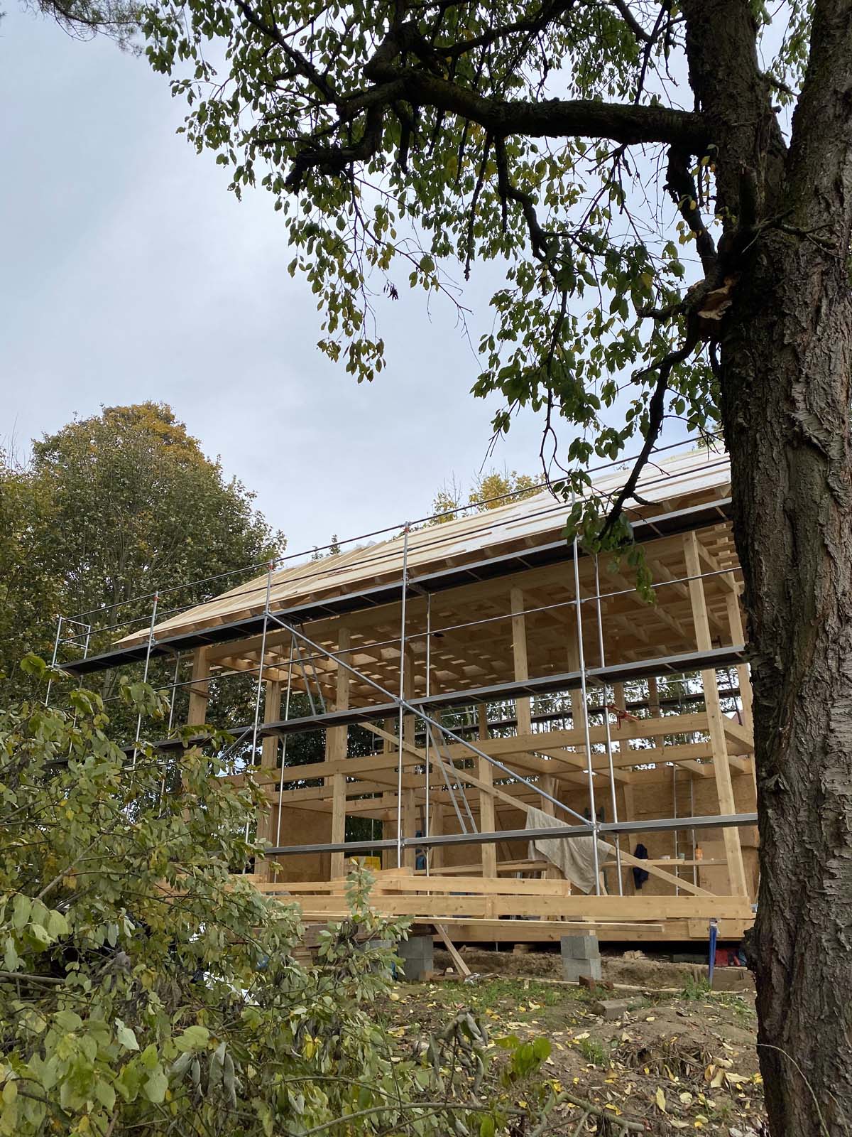Holzskeletthaus - Skelettbauweise Holzskelettbau