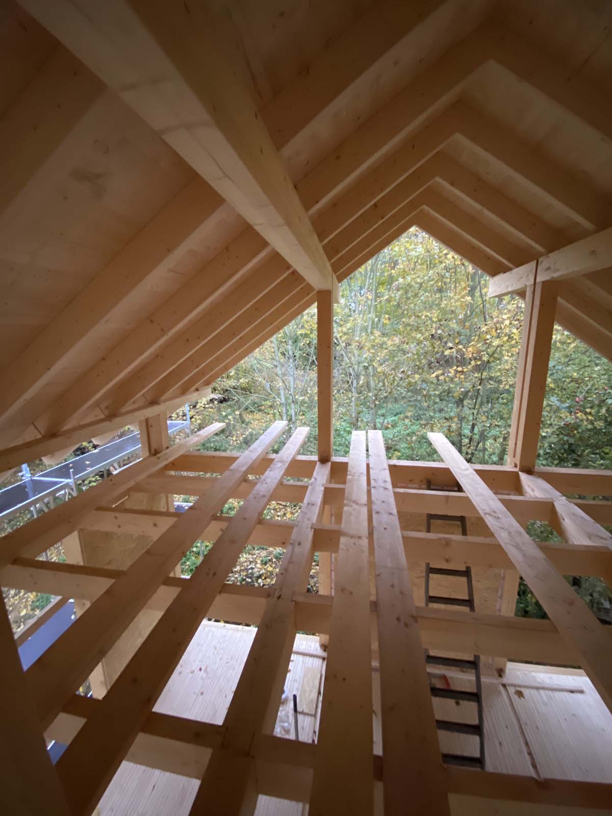 Holzskeletthaus Holzskeletthaus