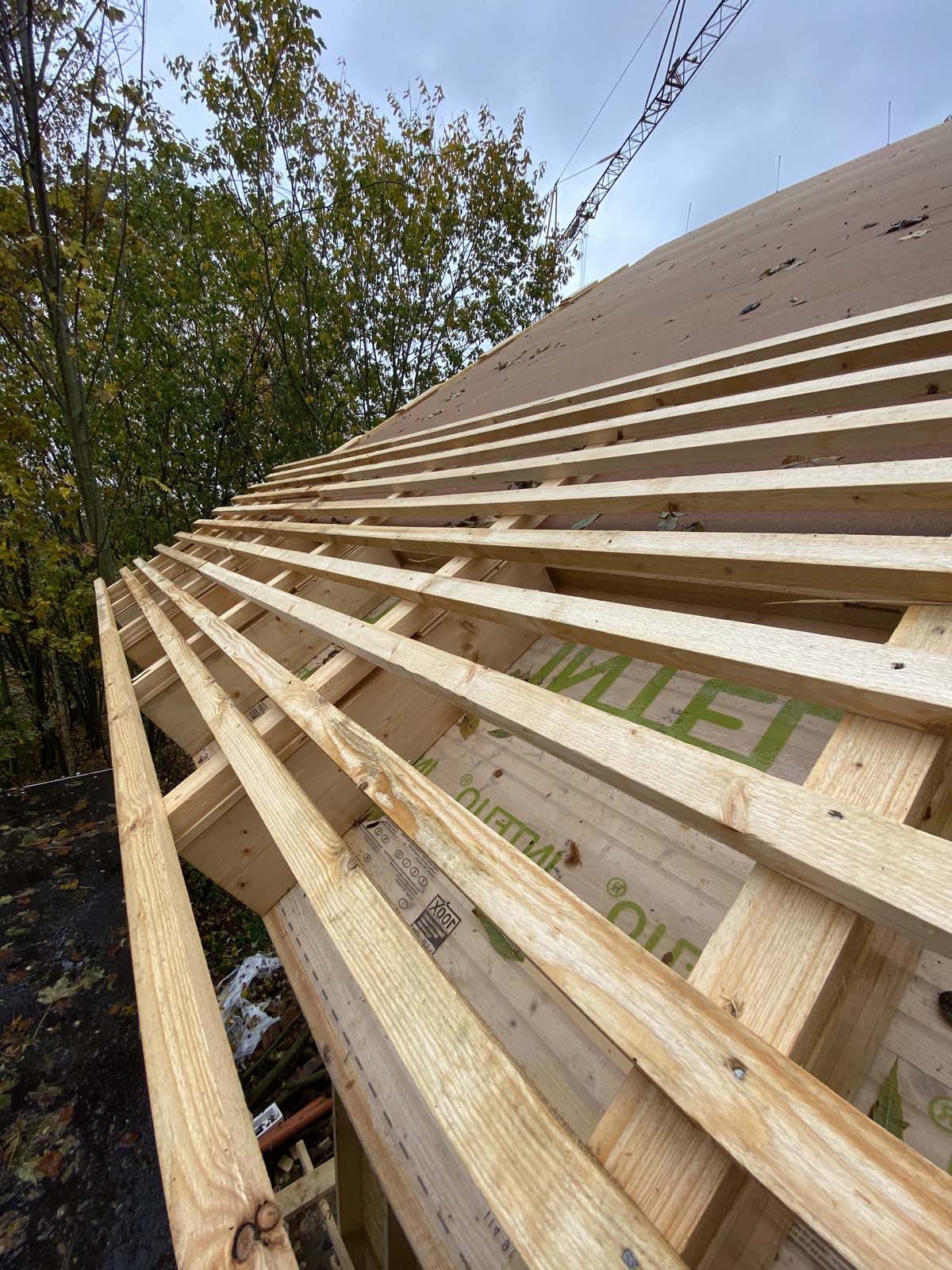 Holzskeletthaus - einlatten Holzskeletthaus - einlatten