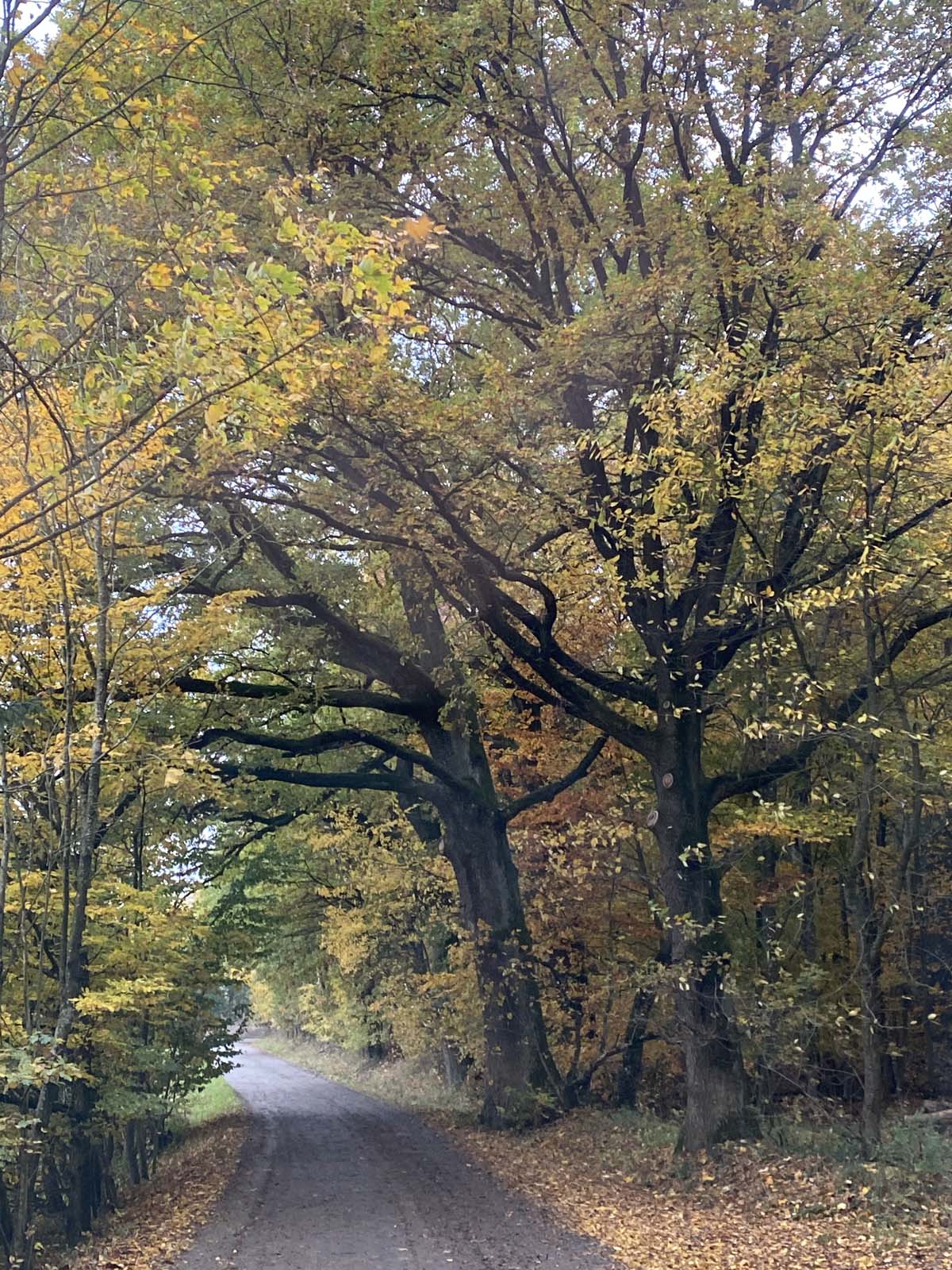 Ankunft zuhause Ankunft zuhause