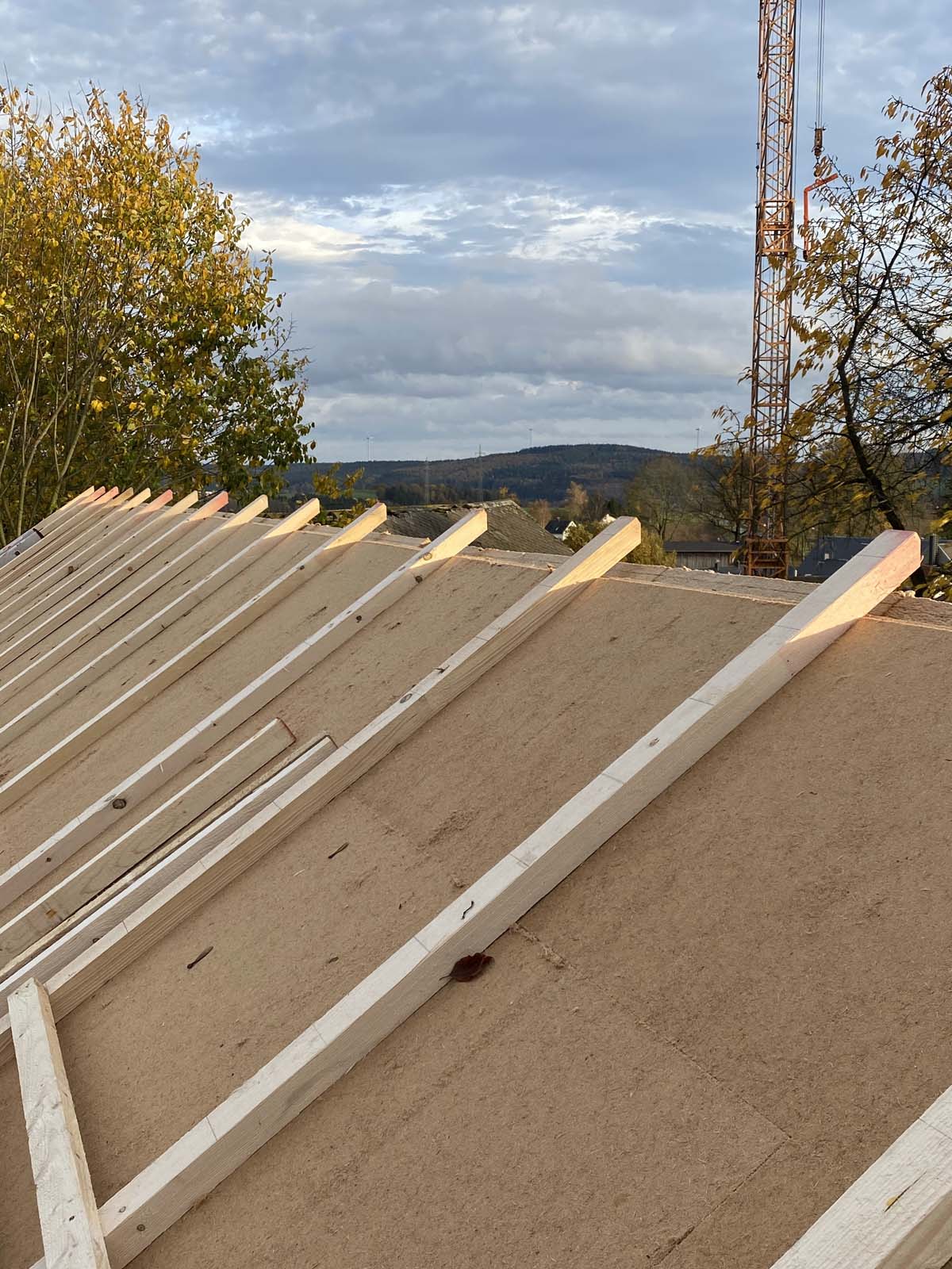 Holzskeletthaus - einlatten Holzskeletthaus - einlatten