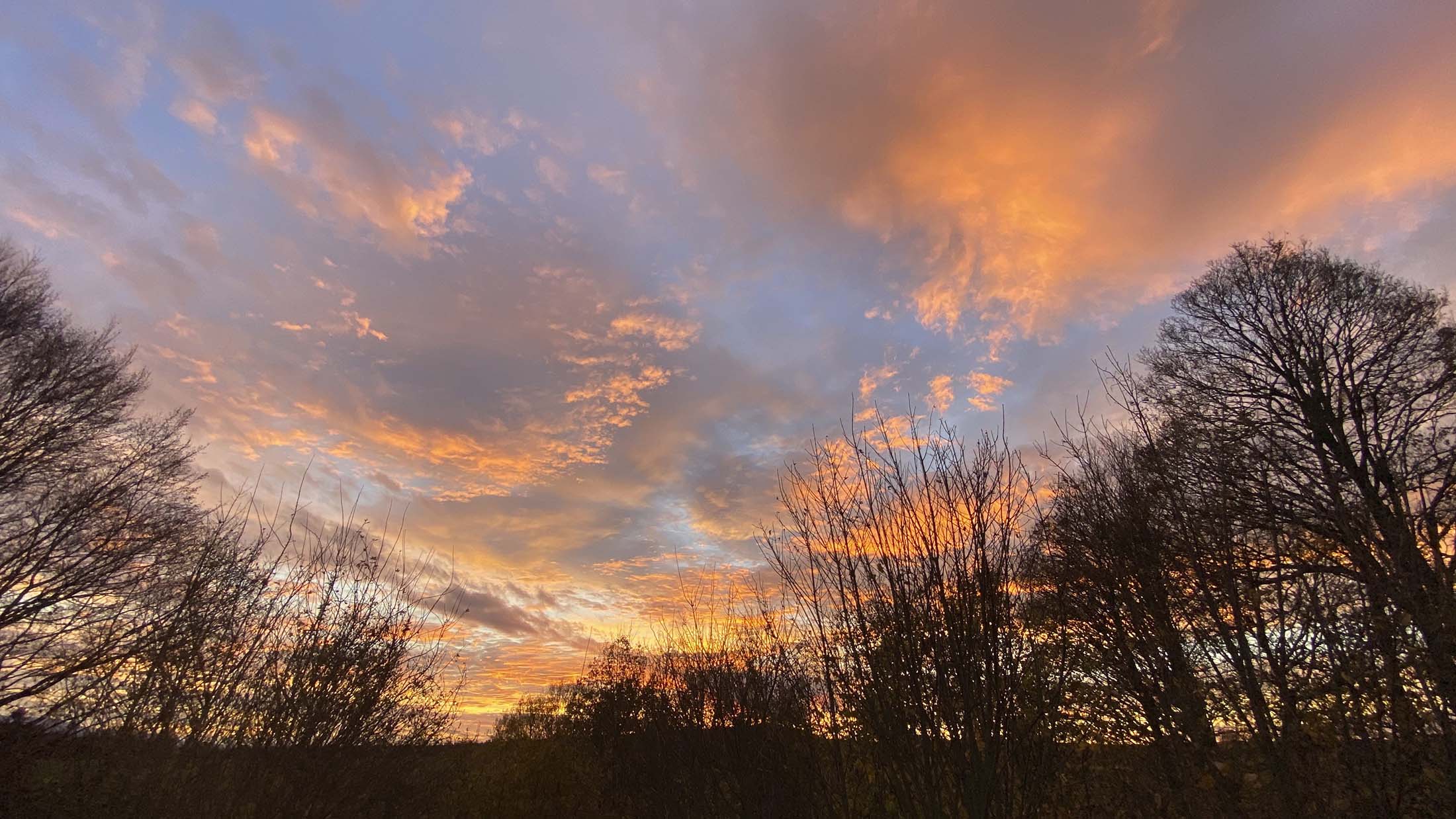 Holzskeletthaus - Abendsonne Holzskeletthaus - Abendsonne