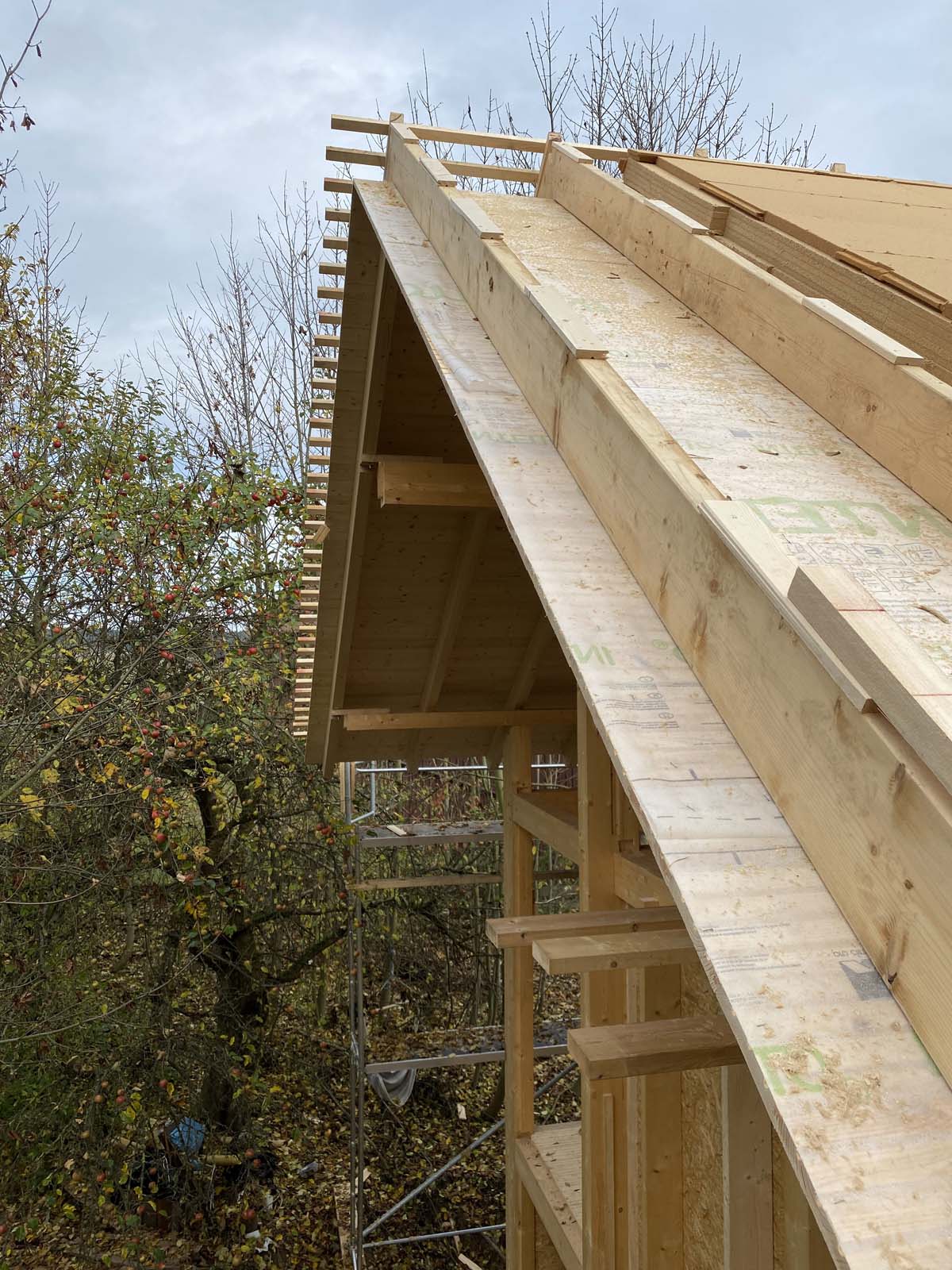 Holzskeletthaus - einlatten Holzskeletthaus - einlatten