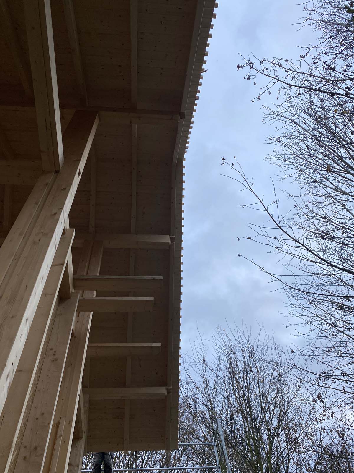 Holzskeletthaus - einlatten Holzskeletthaus - einlatten