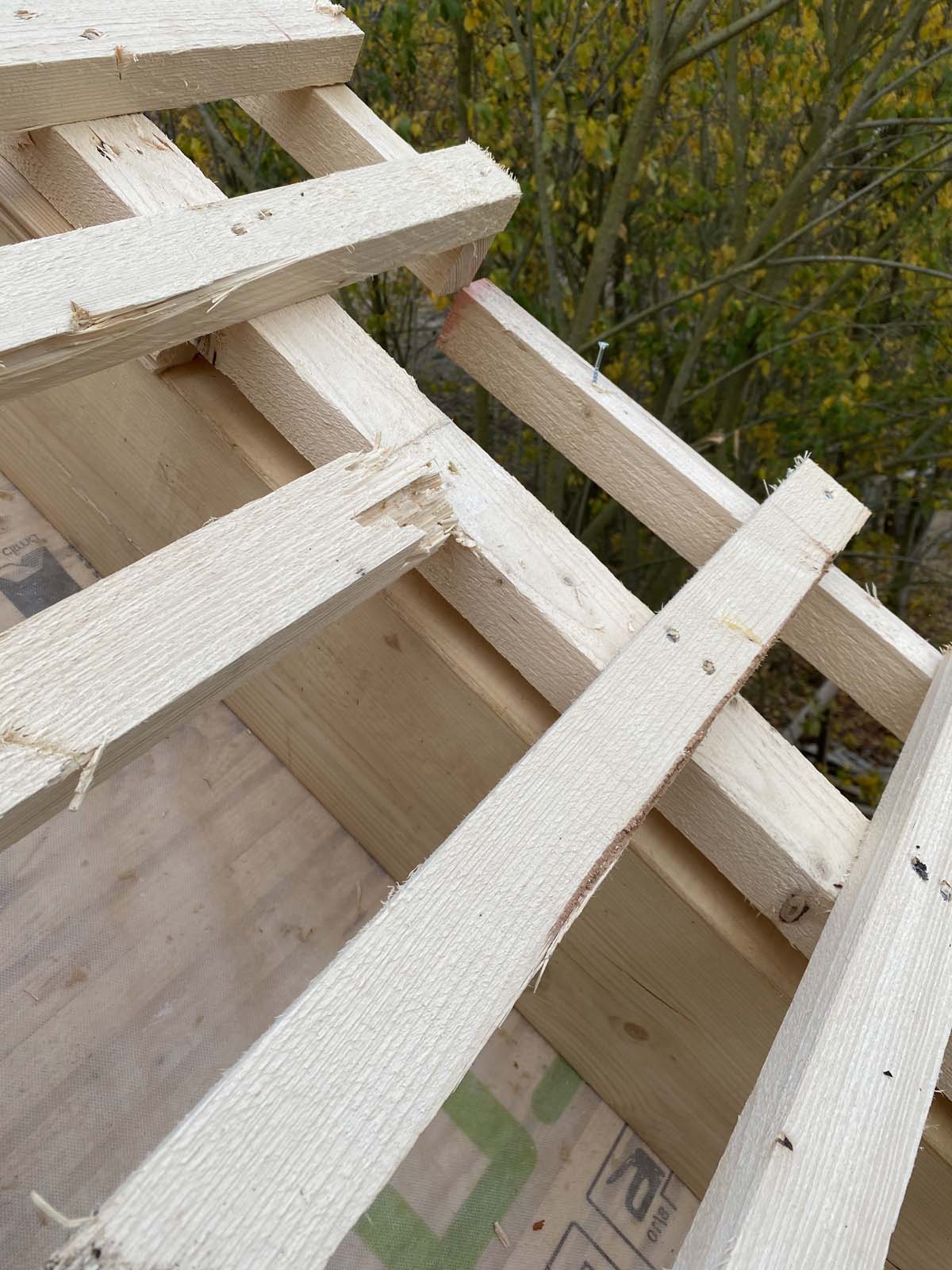 Holzskeletthaus - einlatten Holzskeletthaus - einlatten