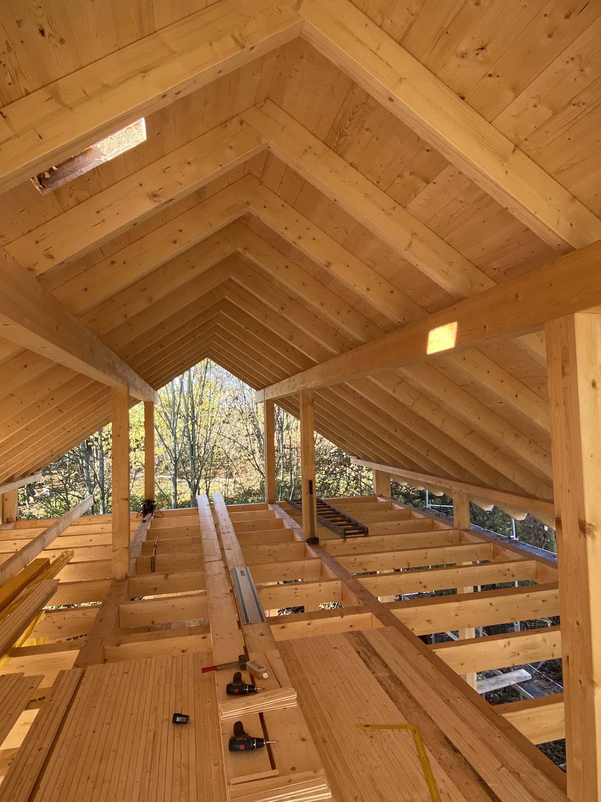 Holzskeletthaus Holzskeletthaus