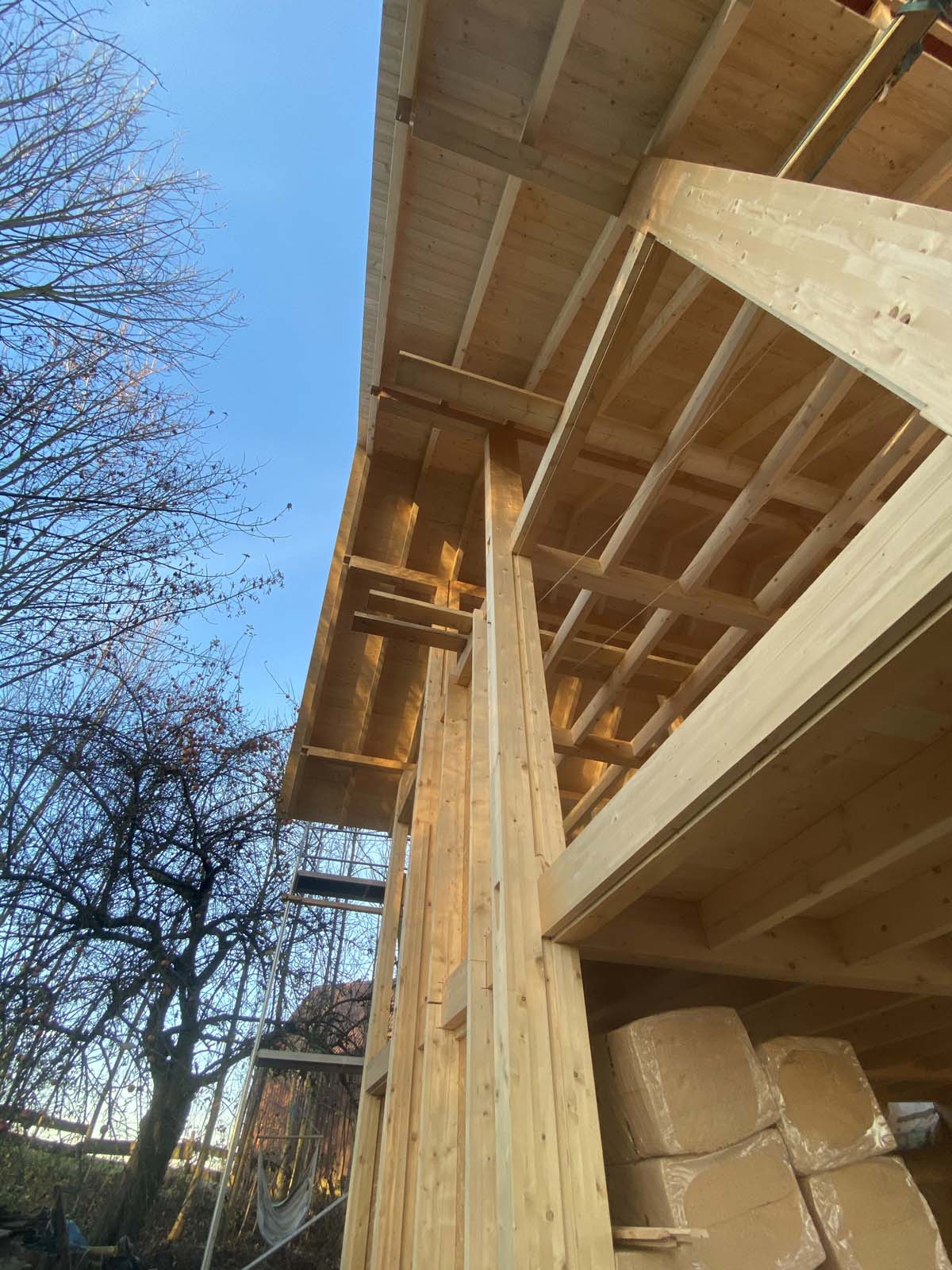 Holzskeletthaus Holzskeletthaus