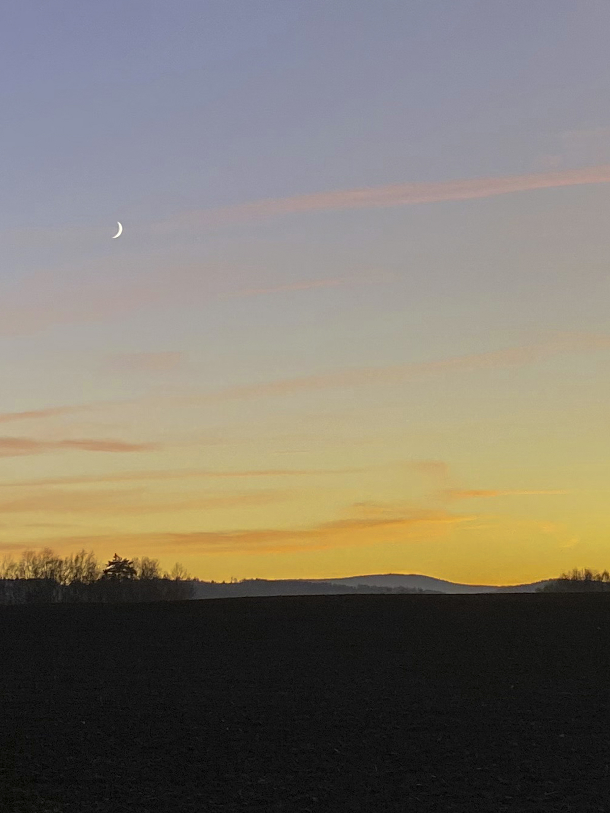 Abendsonne über dem Steinwald Abendsonne über dem Steinwald