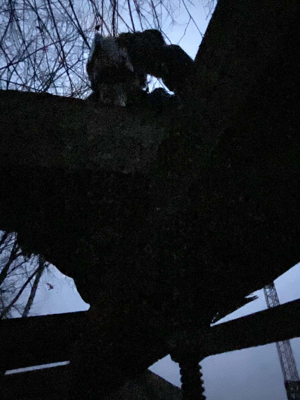 Hühnerstall Hühnerstall