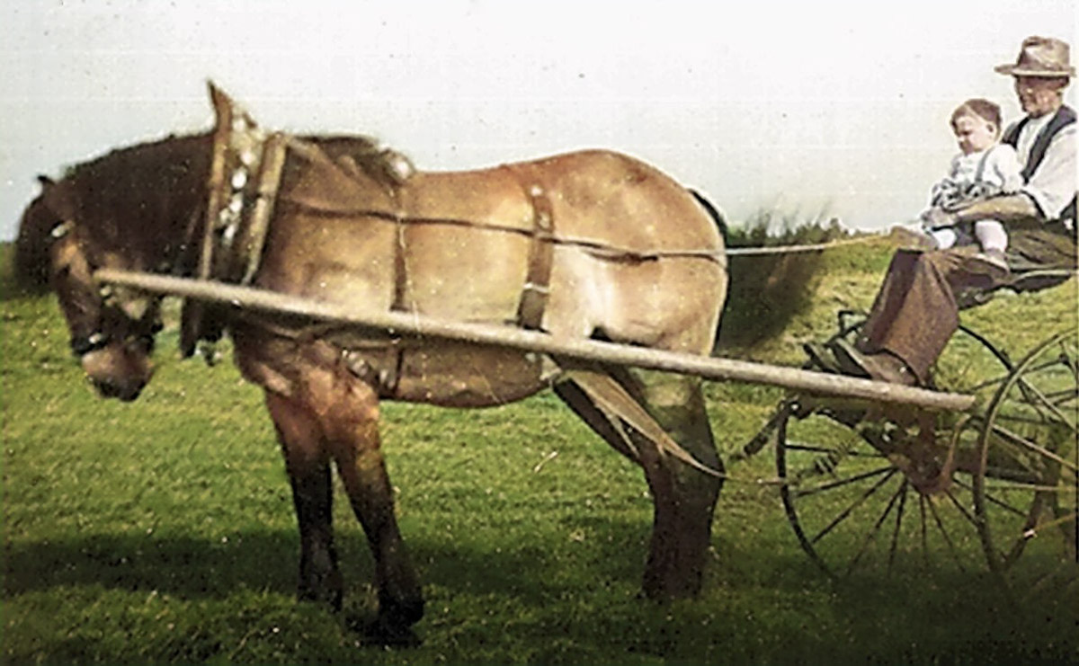 1954 - Opa mit Albert bei der Ausfahrt 1954 - Opa mit Albert bei der Ausfahrt