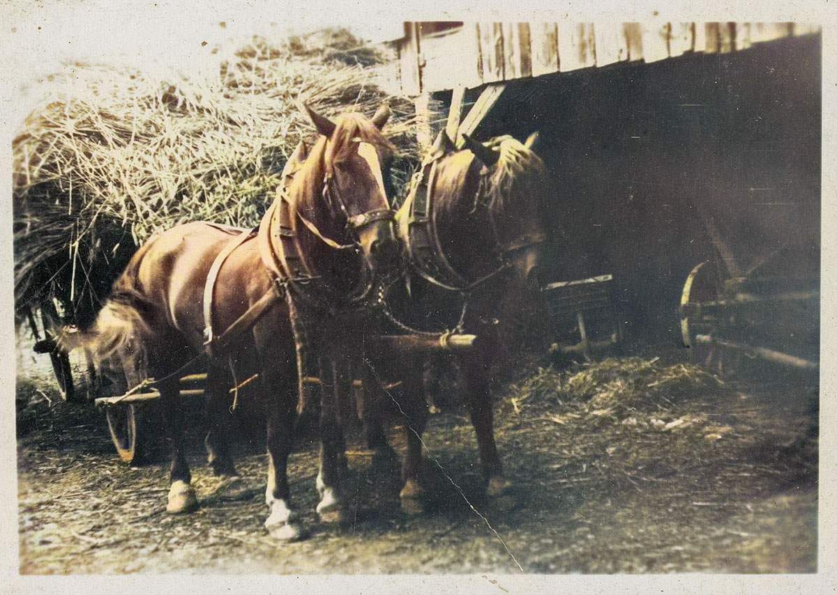 Getreidefuhrwerk Getreidefuhrwerk