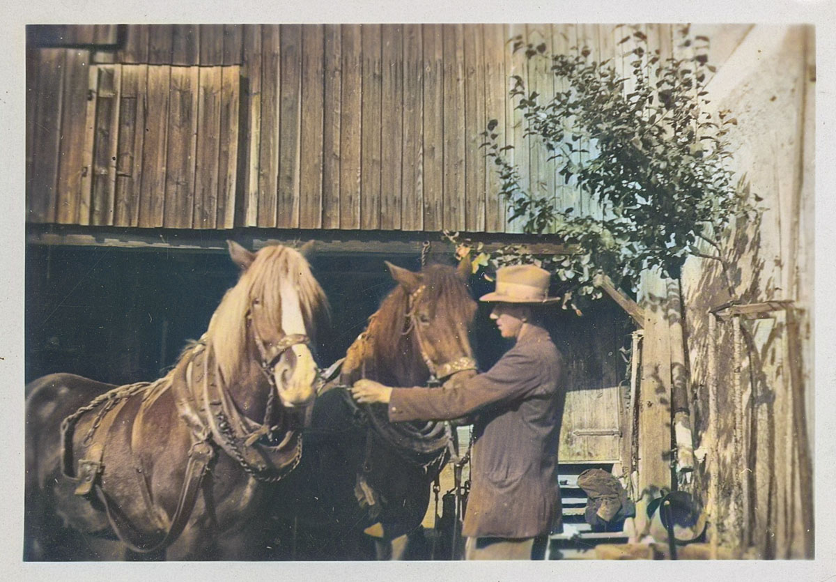 Tägliche Arbeit - Pferde einspannen Tägliche Arbeit - Pferde einspannen